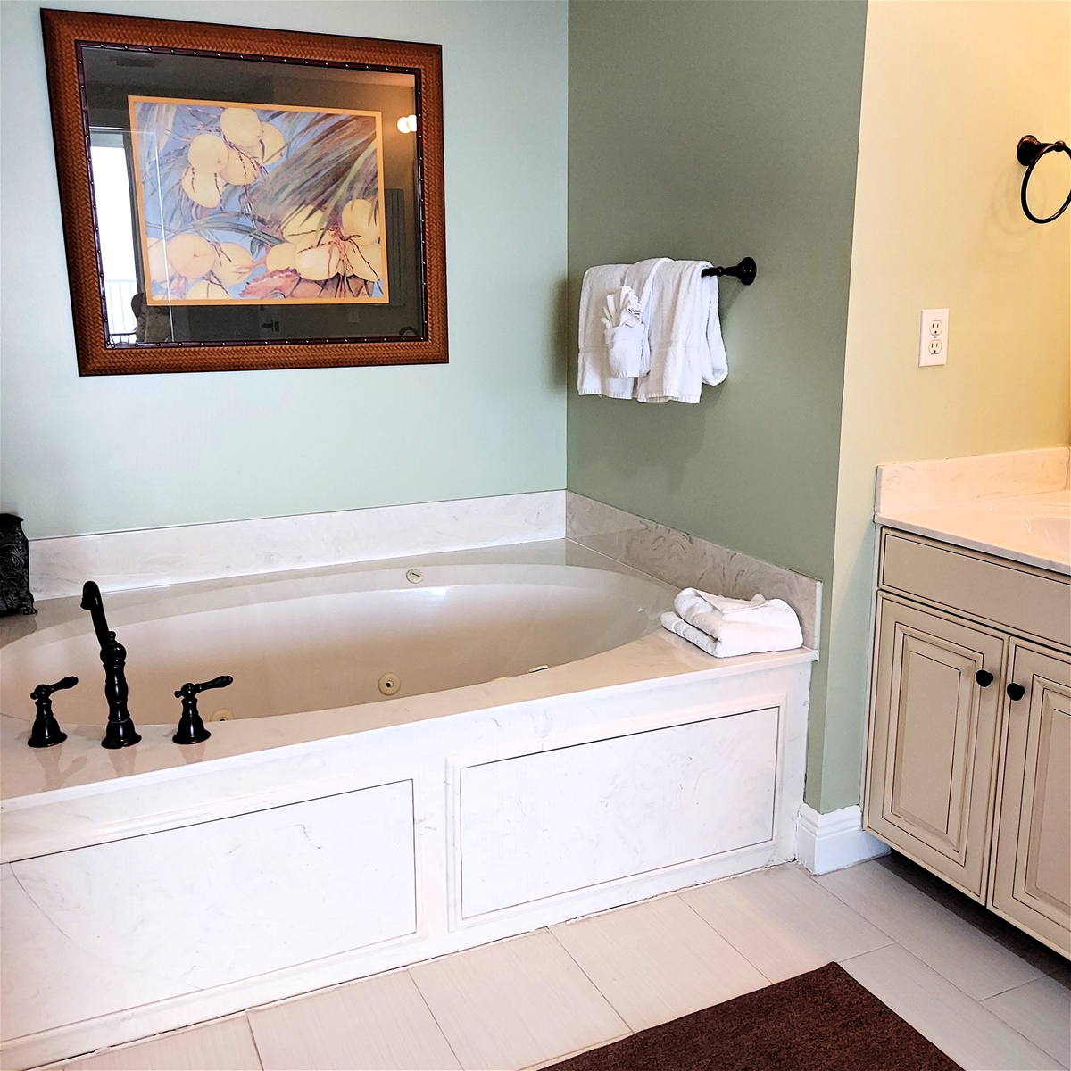 Master Bath Jacuzzi Tub
