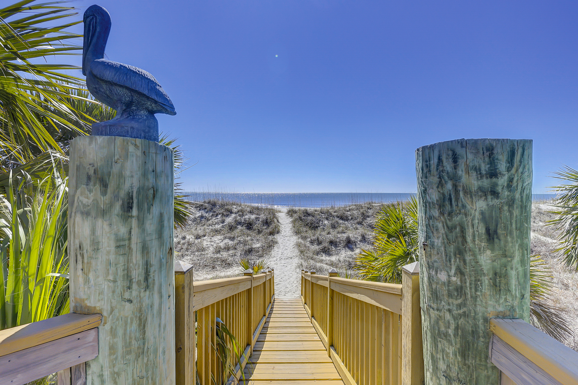 5 Roadrunner | Photo 63