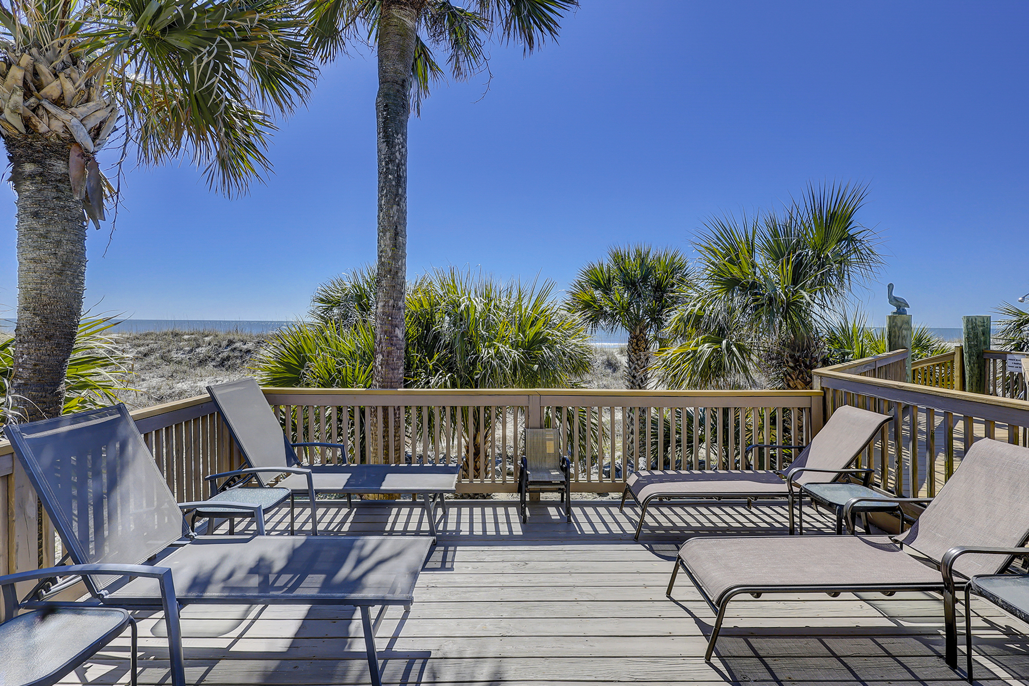 5 Roadrunner | Photo 49