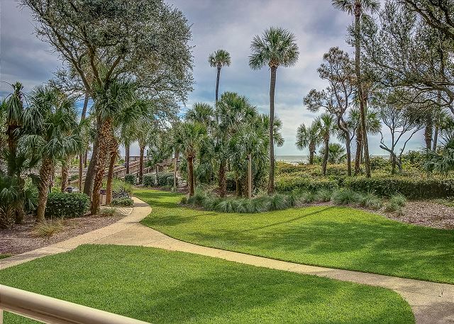 View from Patio