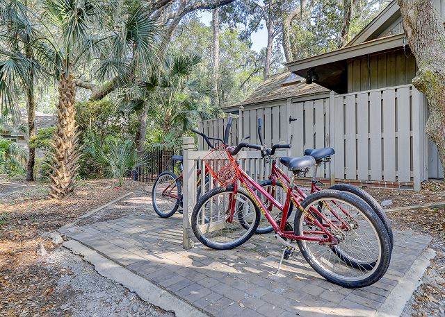 4 Adult Bikes