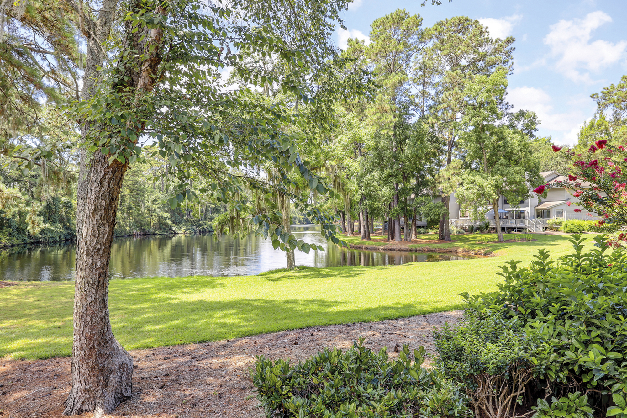 3364 Lake Forest | Photo 6