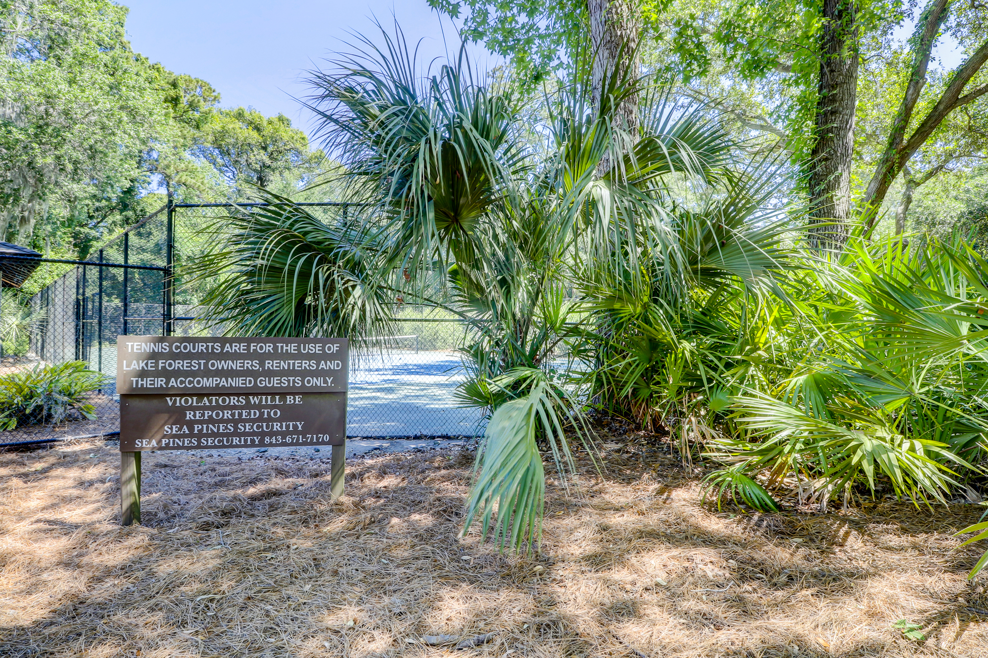 3364 Lake Forest | Photo 37