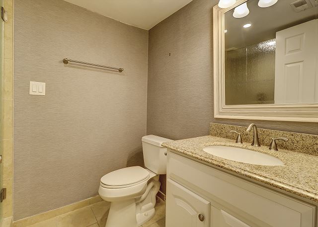 Full Guest Hall Bathroom