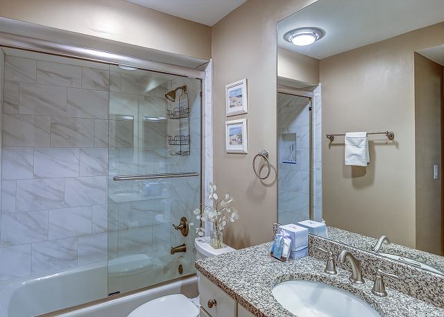 Guest Full Bathroom