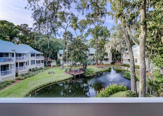 Patio View