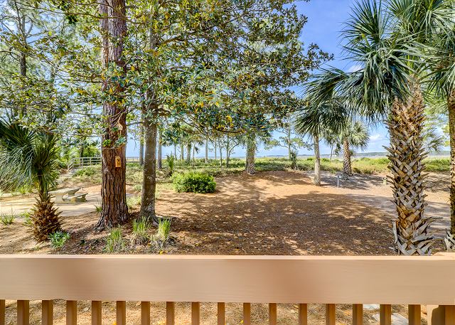 Patio View