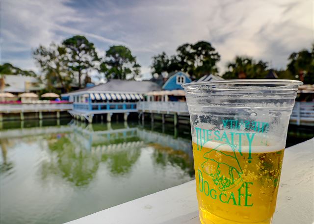 Salty Dog