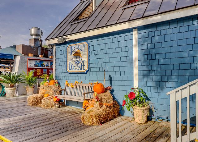 Salty Dog in South Beach Marina