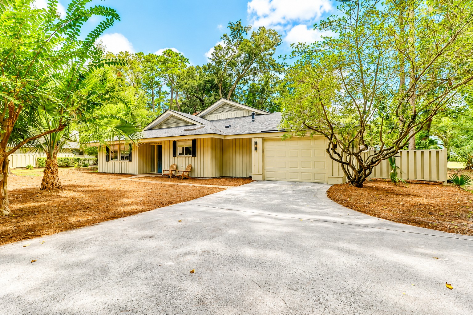 5 Willow Oak