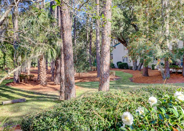 Sea Pines Hilton Head Rentals | Sea Pines Resort Rentals