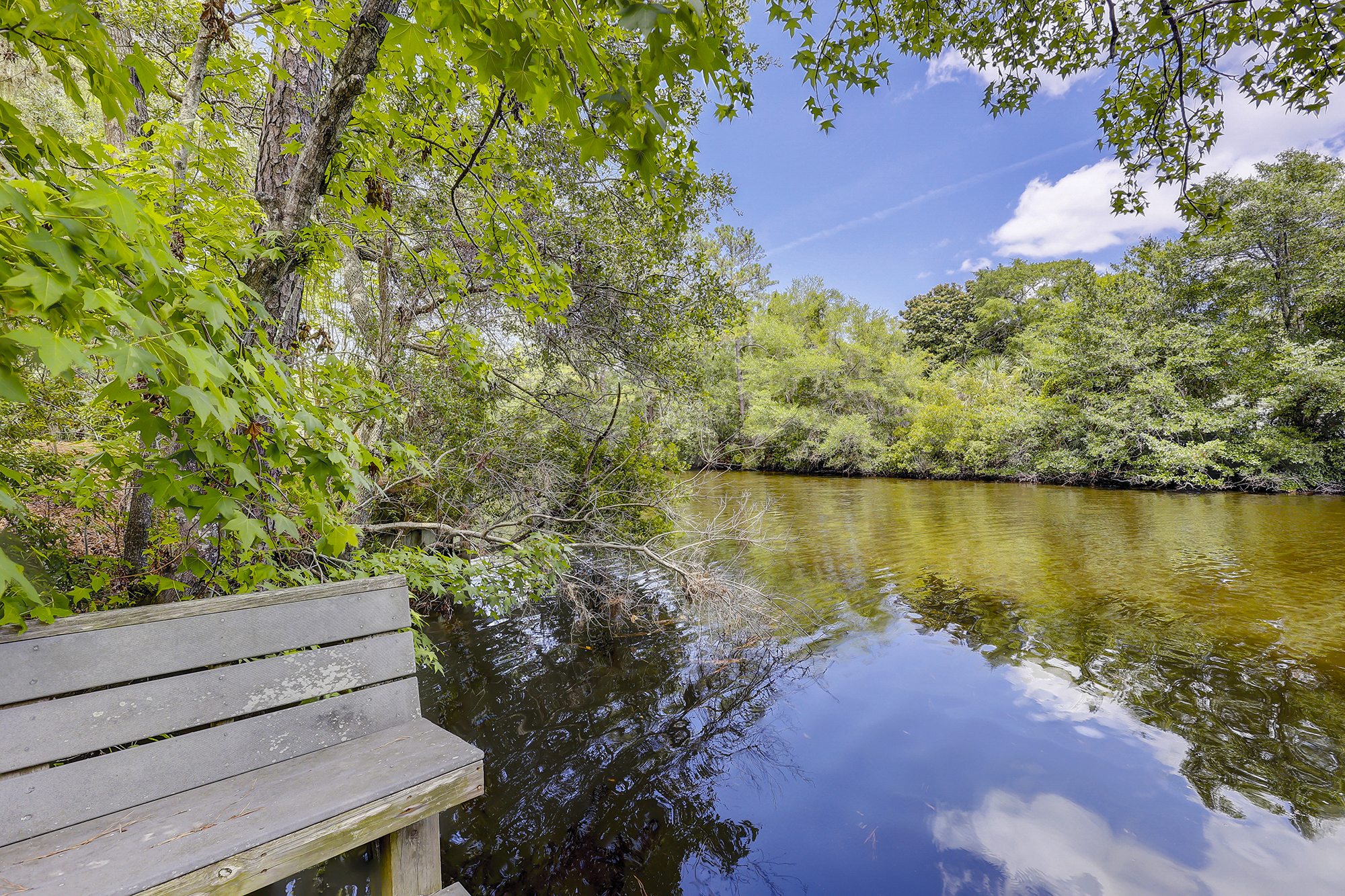 7 St. George | Photo 3