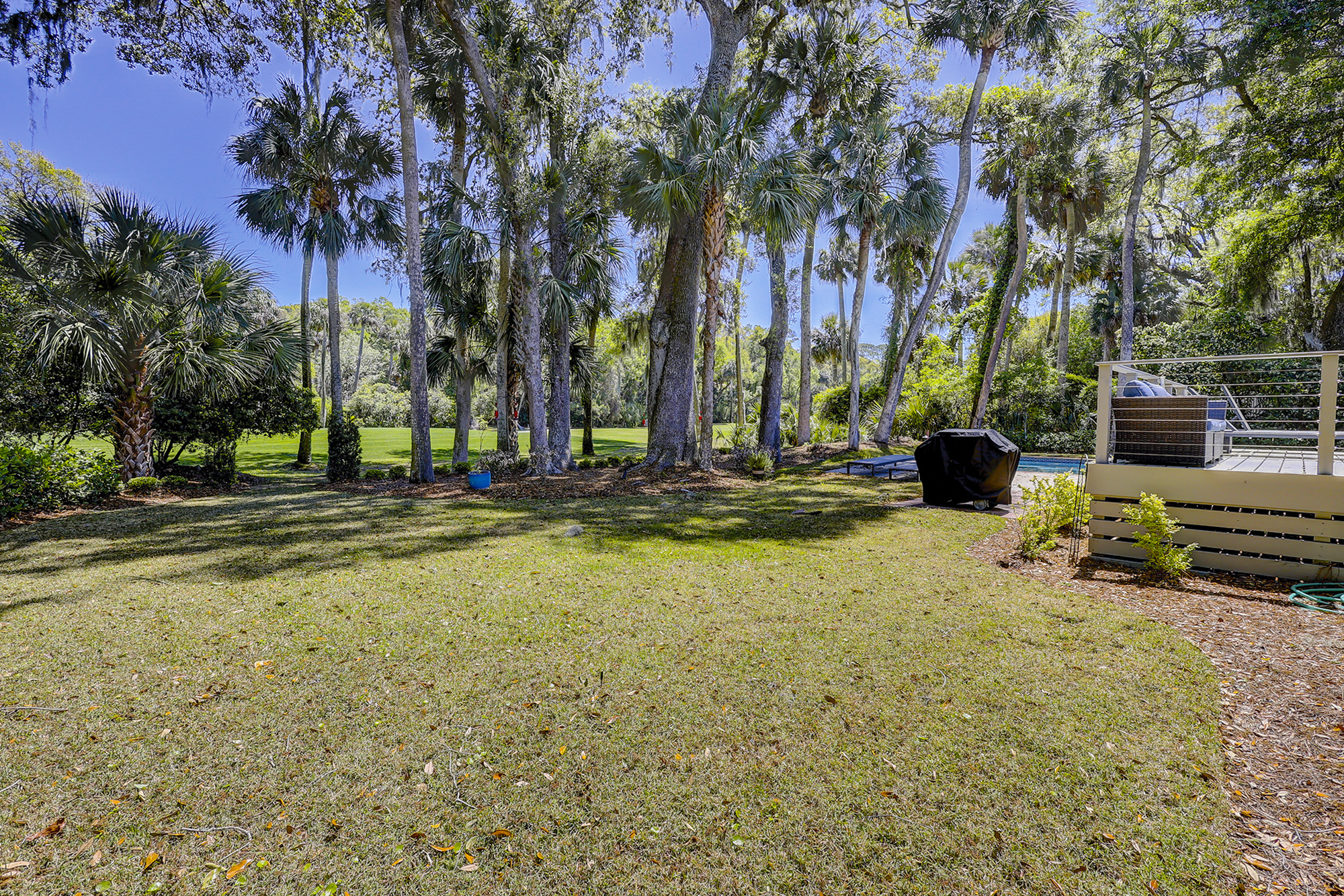 Yard Area