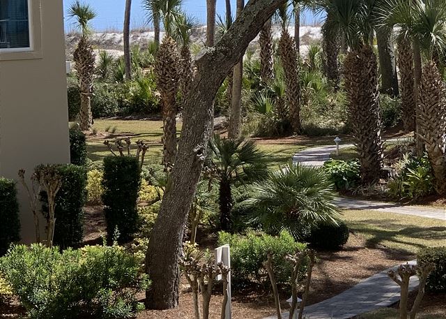 VIew from patio