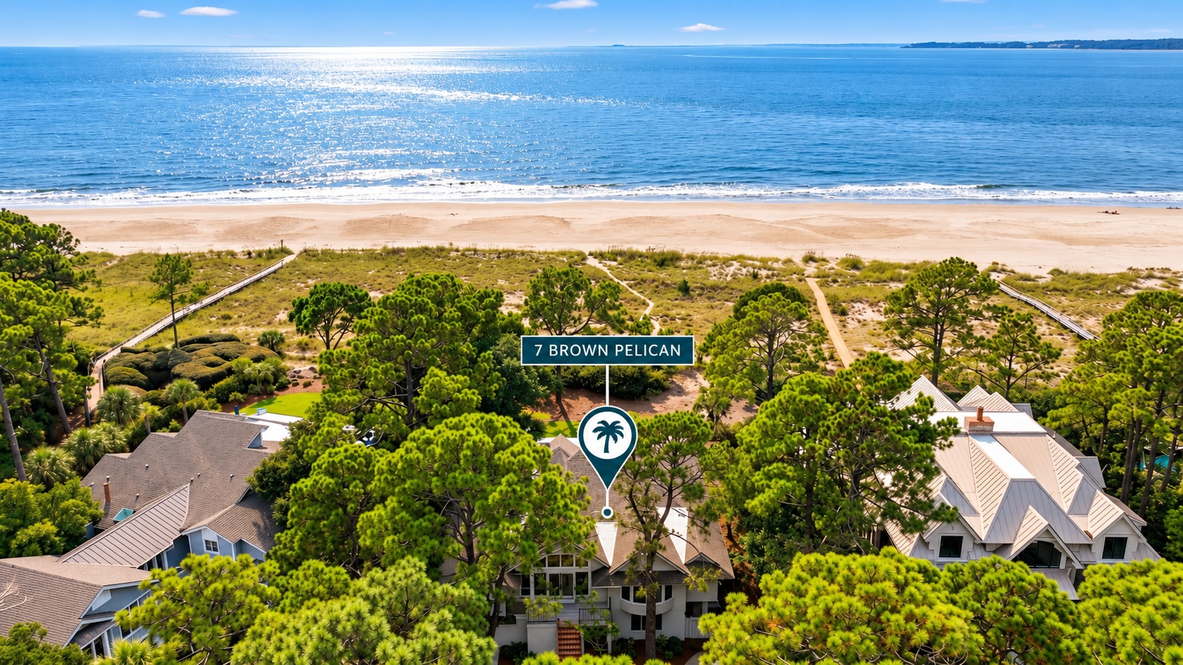 Drone View - 7 Brown Pelican