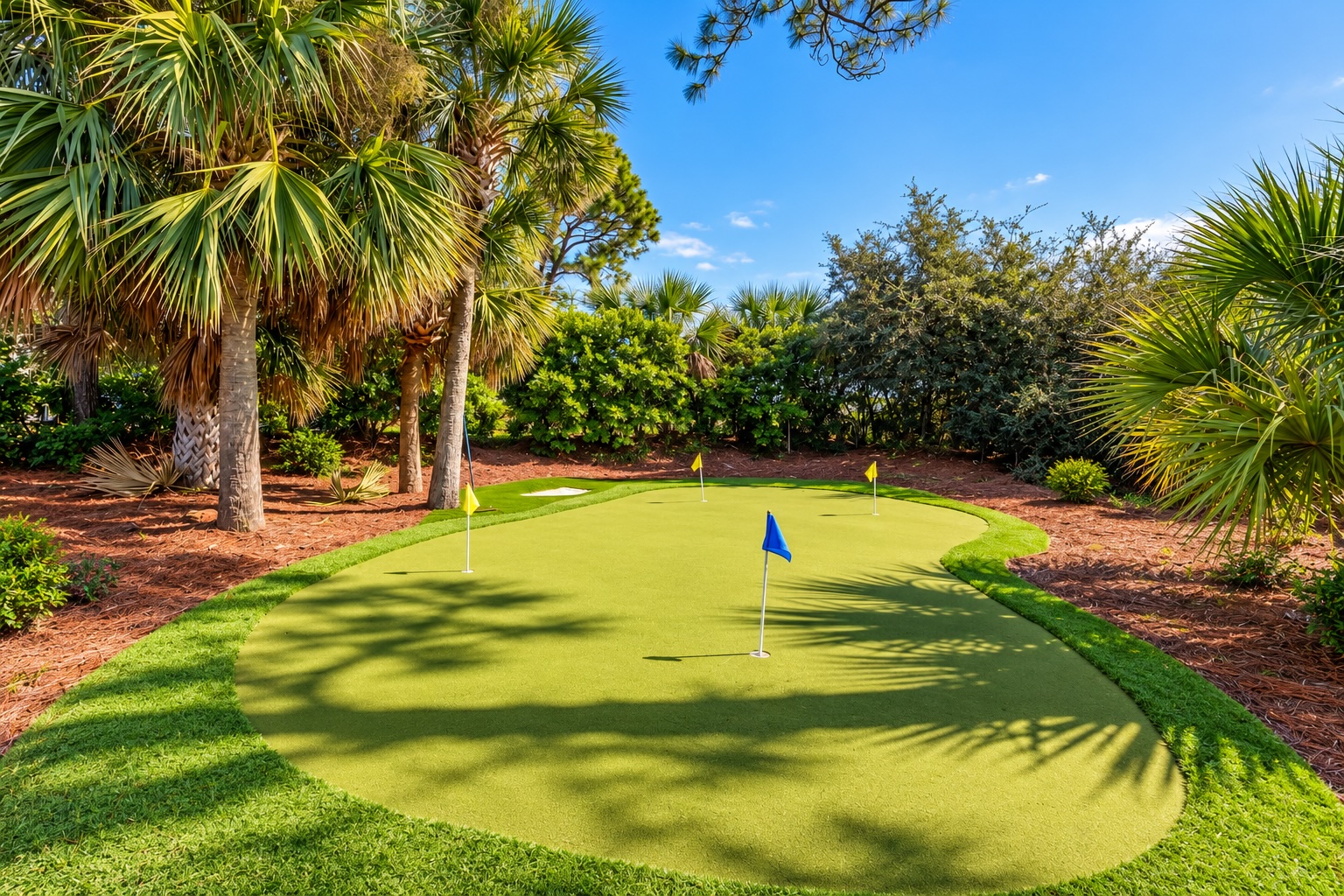 7 Brown Pelican - Putting Green