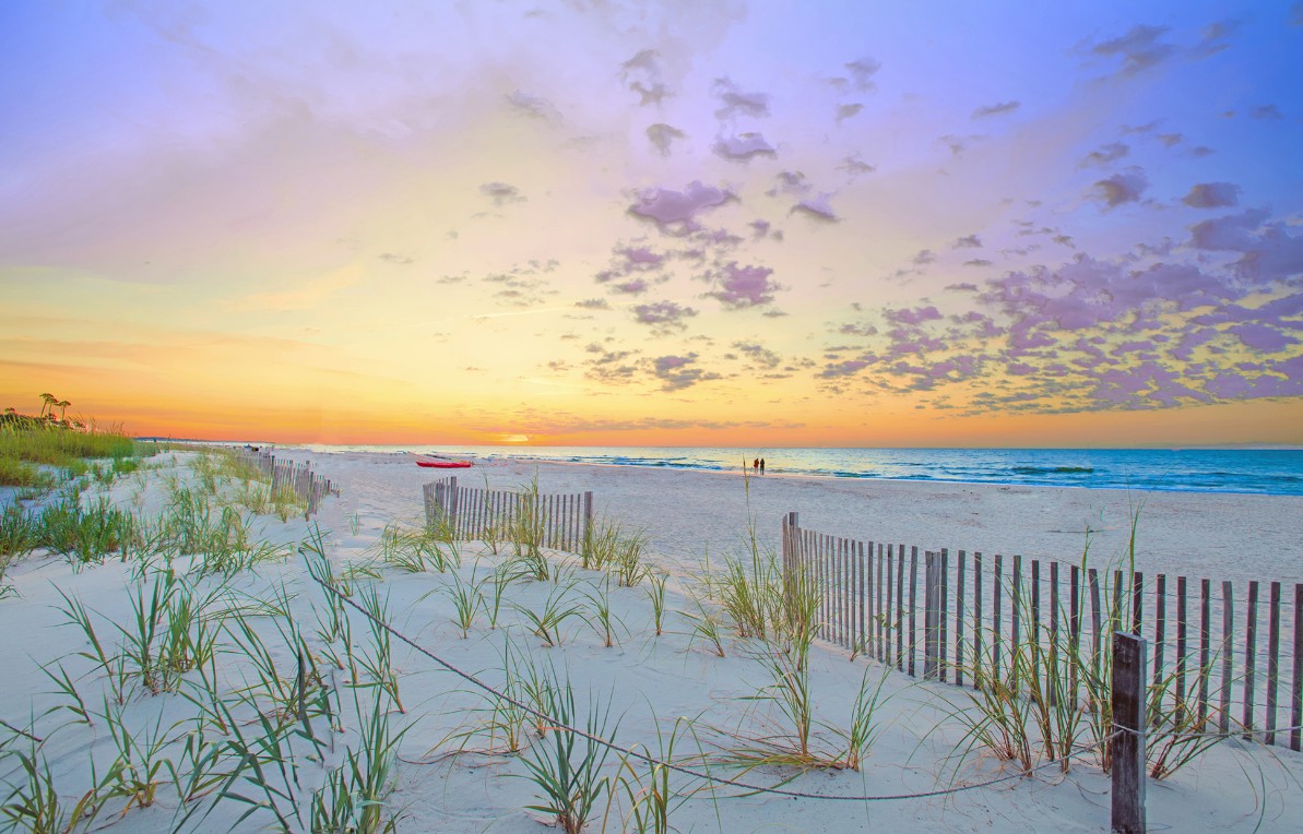 61 Dune -Beach