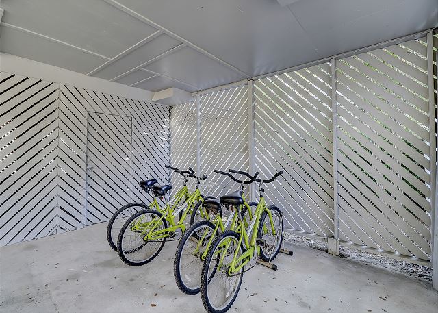 4 Adult Bikes