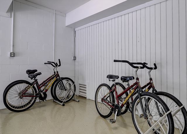4 Adult Bikes