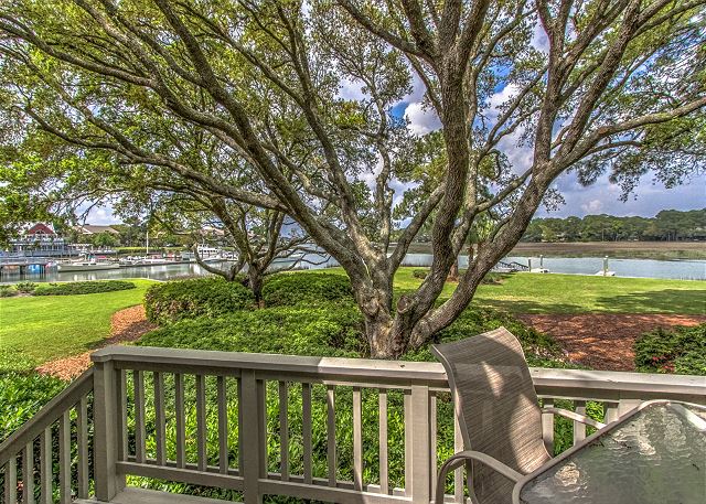 View from Patio