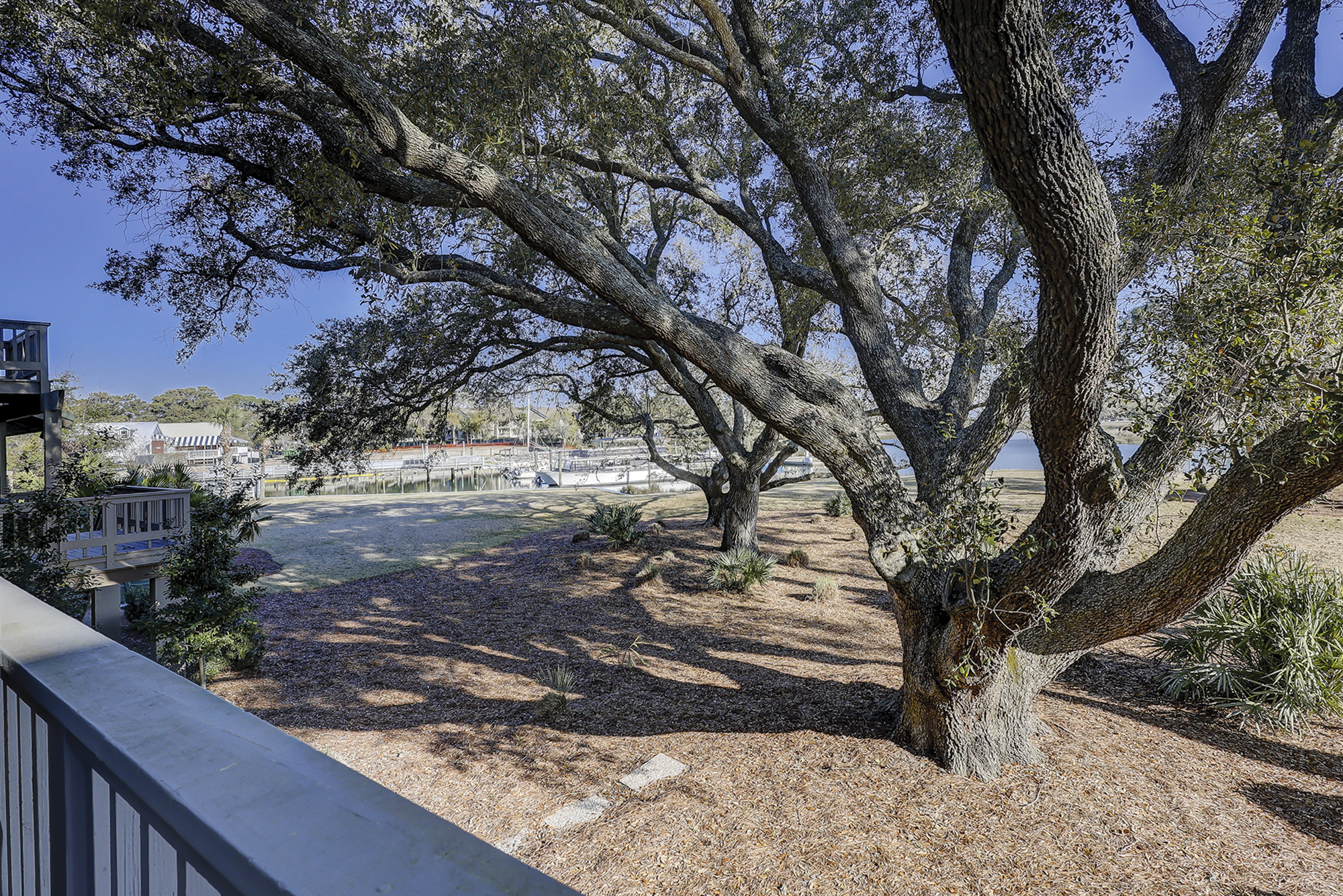 Outdoor Dining Area View
