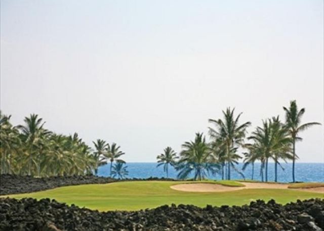 Halii Kai 11B View