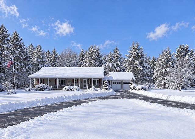 Snowy Pines