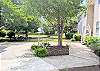 Manicured courtyard and shaded garden path leading to the entrance of D4 Briar Court.
