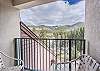 Private Balcony-
Accessed off the dining area and overlooks the pool deck and wooded areas of the property.