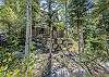 Exterior-
Semi-secluded home backed up to a wooded area.