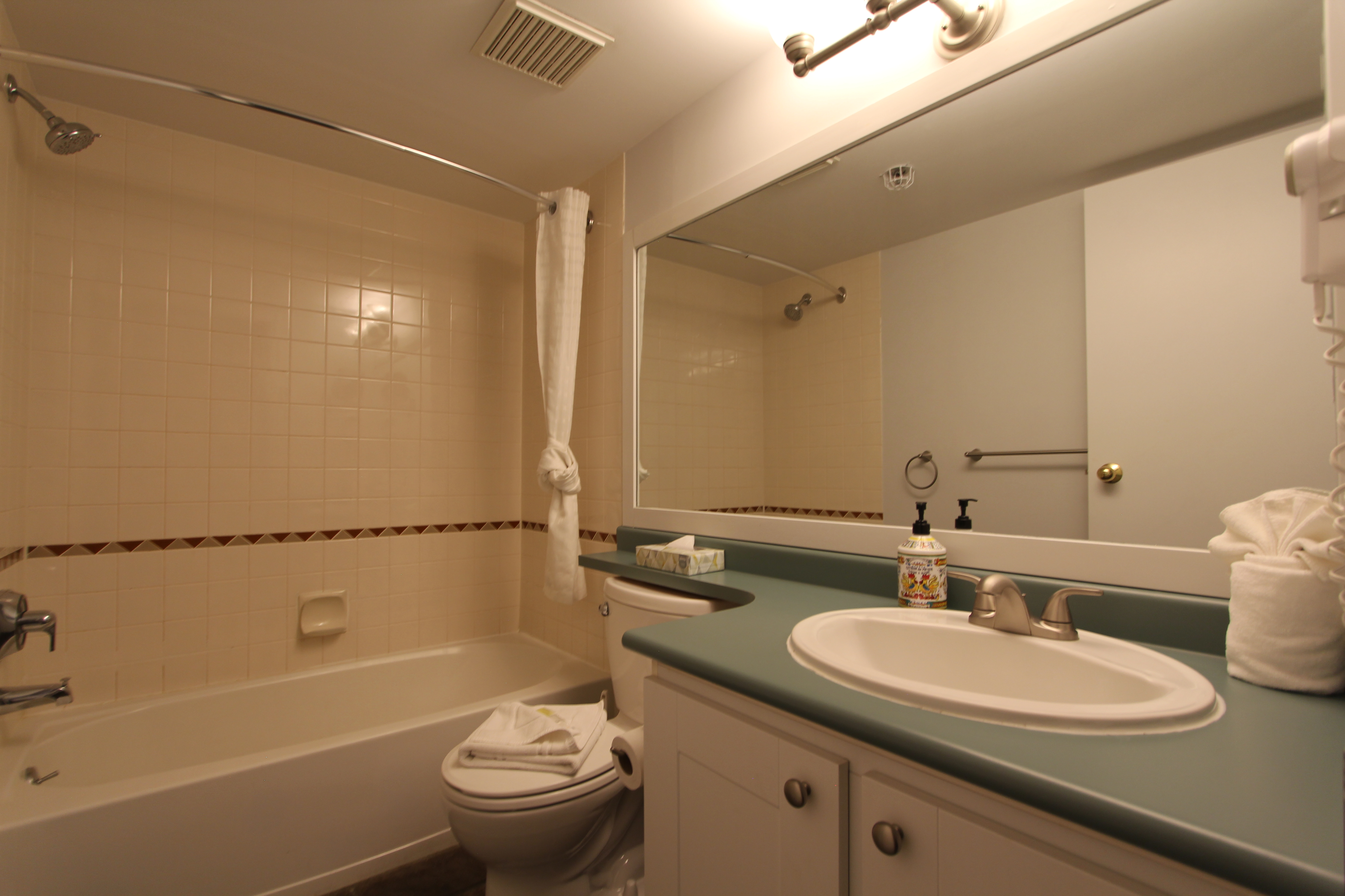 Main Bathroom