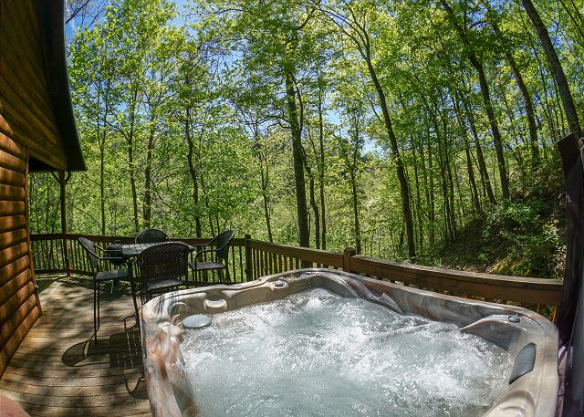 Bryson City, NC United States - Time Out Cabin | Yellow Rose Real ...