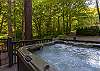 Dip into the bubbling bliss of your private hot tub. Let the symphony of the rushing creek below wash away your worries. Breathe deeply and soak in the serenity of your natural sanctuary.