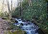 Creek running through the property 