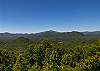 Wide open view of multiple mountain peaks above the green forest below.