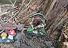 Wombat's Burrow garden