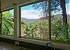 Views from kitchen
