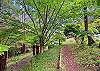 Stroll through the garden with the sounds of the creek close by.