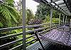 Relax on the hammock with the bushland views