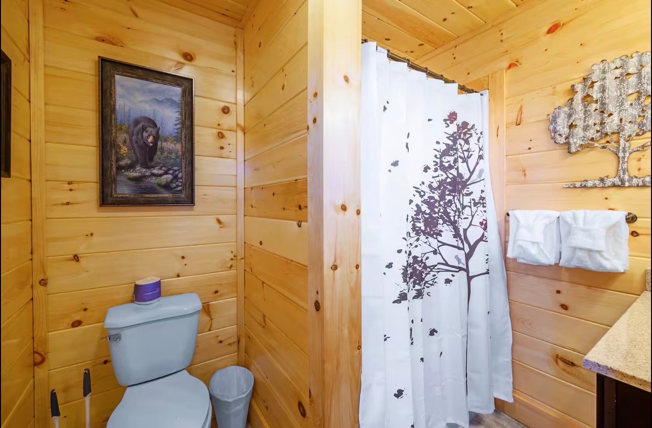 Private Indoor /heated pool.Near Dollywood.4bd/4bth | Photo 25