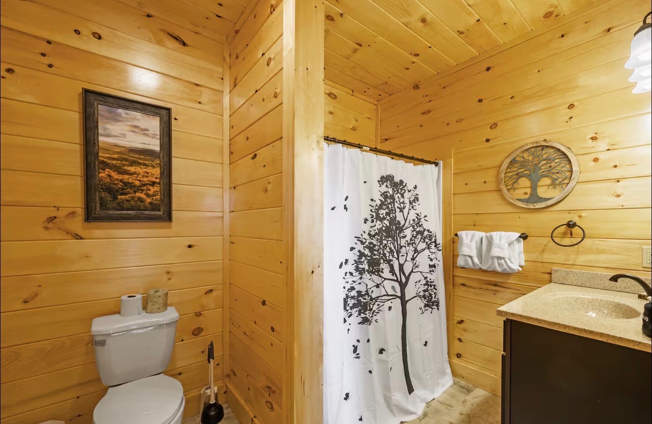 Private Indoor /heated pool.Near Dollywood.4bd/4bth | Photo 24