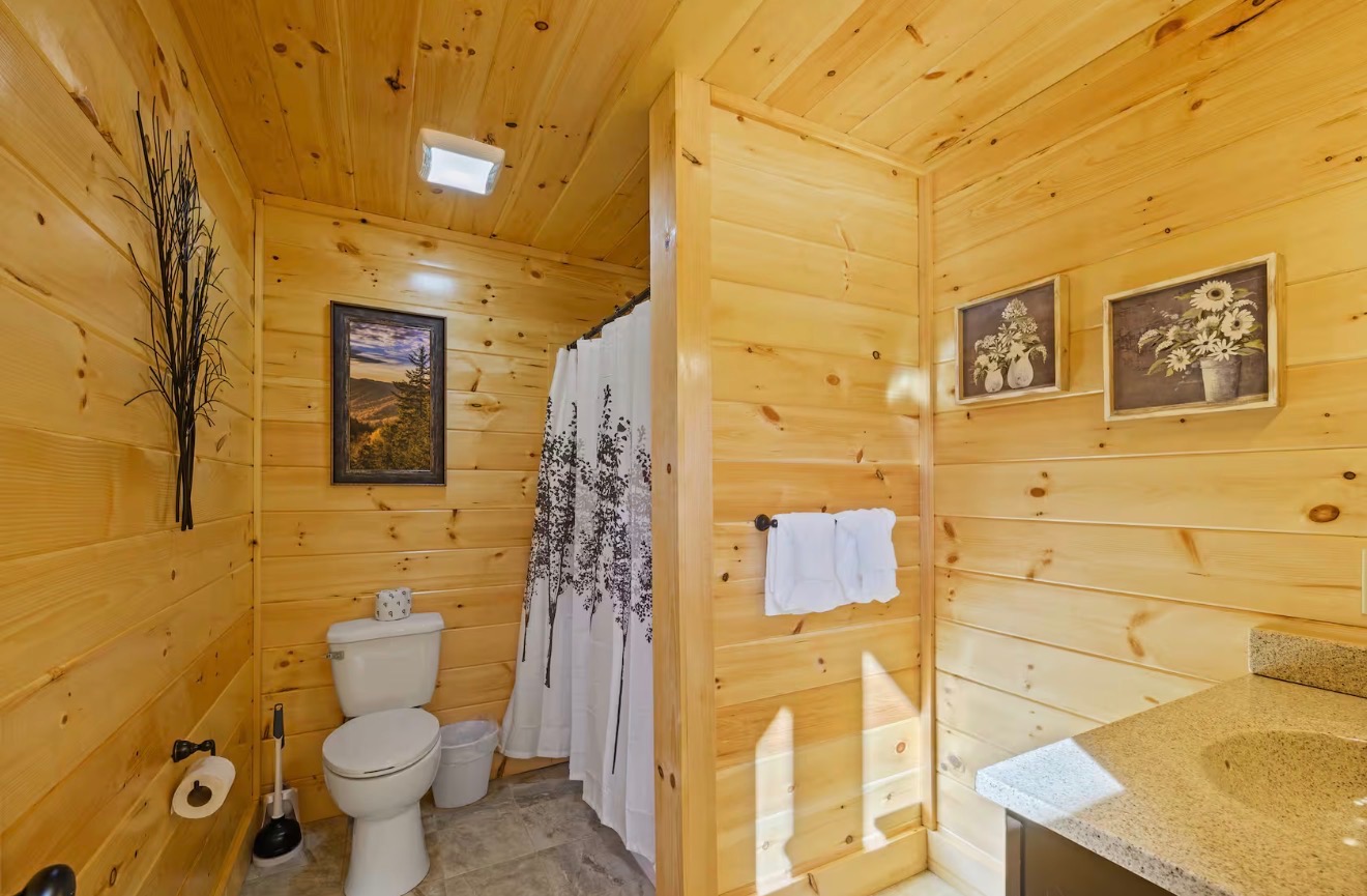 Private Indoor /heated pool.Near Dollywood.4bd/4bth | Photo 21