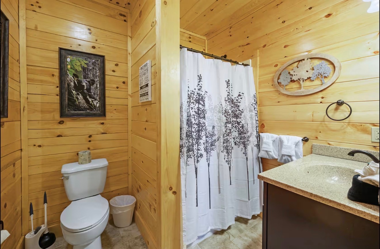Private Indoor /heated pool.Near Dollywood.4bd/4bth | Photo 2